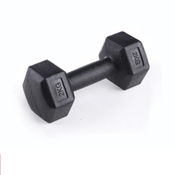 Dumbells Men's Arm Muscle Training Household Rubberized Dumbbells Female Fitness Equipment - Image 2
